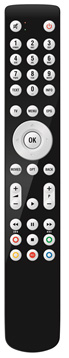 Tripleplay Customised RF - remote with dongle